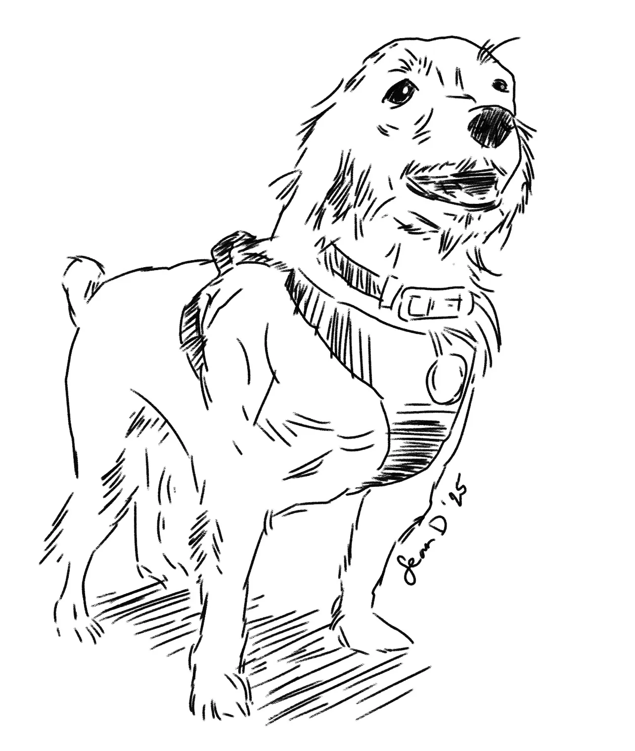 rico-suave-sean-of-the-south